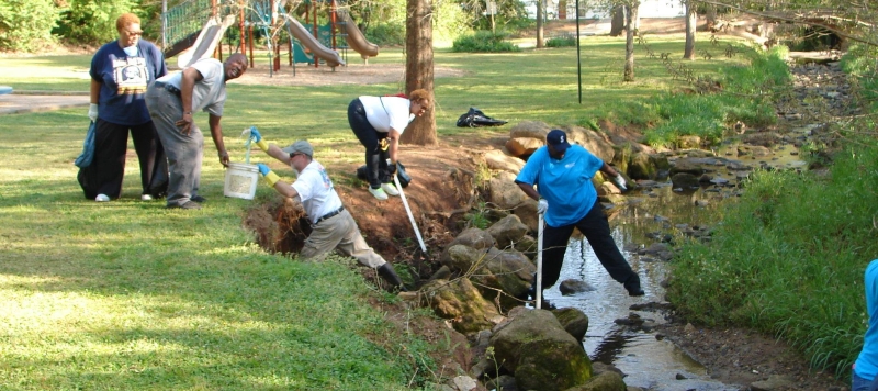 Stream Cleanup 4